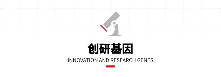 LONGi BIPV: Advantages and Quality